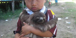 A boy and his sloth.