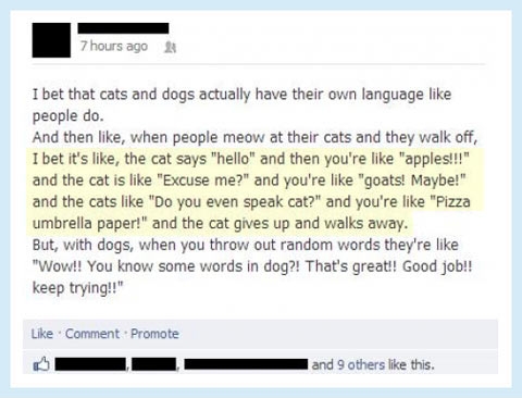 Do you even speak cat?