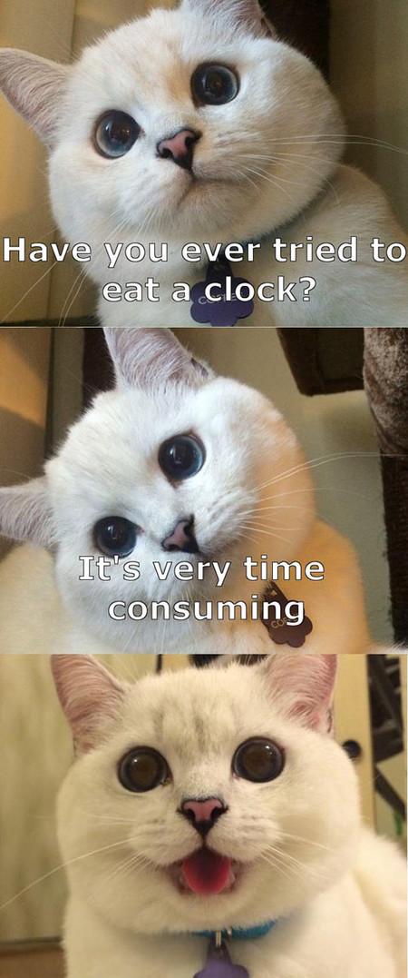 Have you ever tried to eat a clock?