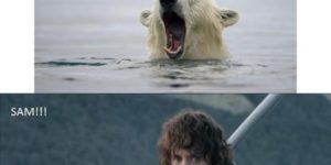Go back, Sam. I’m going to Mordor alone.