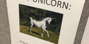 Missing Unicorn.