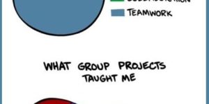 What group projects taught me.