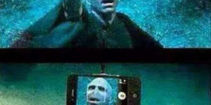 Voldemort’s selfie stick