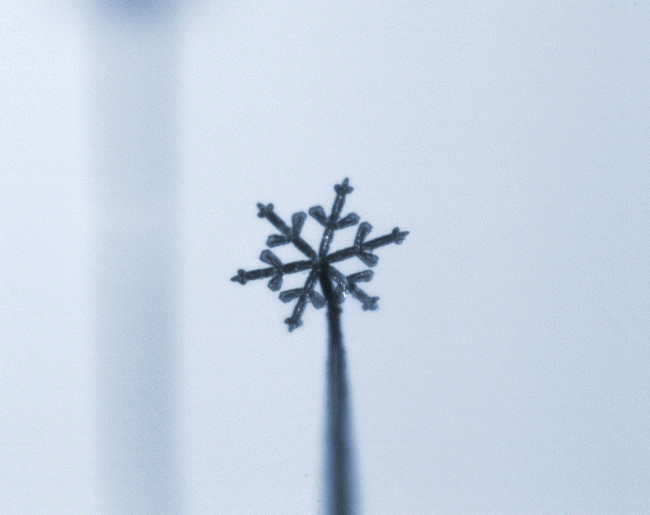 Time lapse of a real snowflake growing
