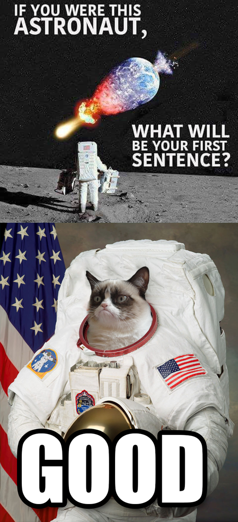 If you were this astronaut