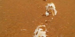 This+photo+taken+in+the+Algerian+Desert+of+sand+covered+snow+looks+like+Tiramisu