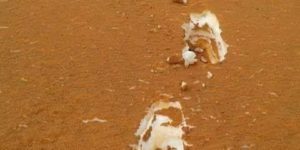 This photo taken in the Algerian Desert of sand covered snow looks like Tiramisu