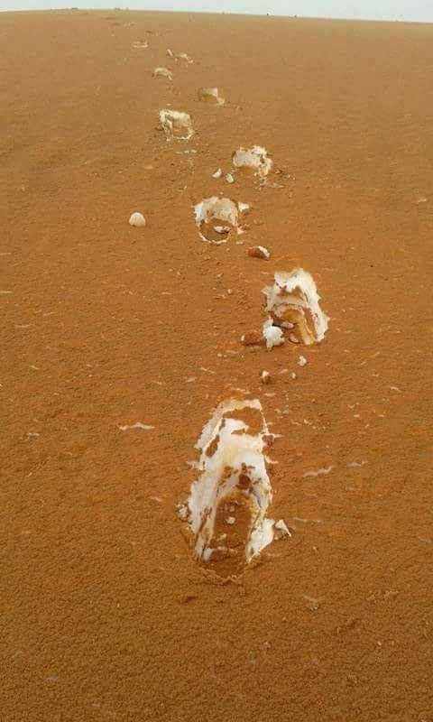 This photo taken in the Algerian Desert of sand covered snow looks like Tiramisu