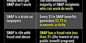 Food stamp myths?