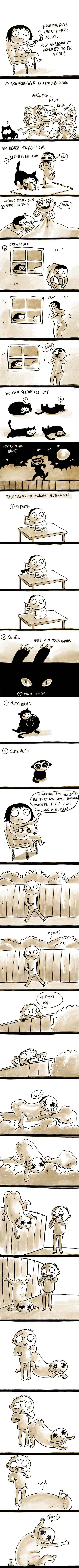 Being a Cat is Awesome