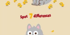 Spot+the+differences%21