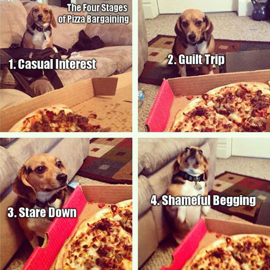 Four Stages Of Pizza Bargaining