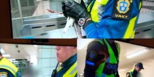 Swedish television channel decided to protect the identity of a seagull that was saved from the subway