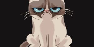 Cartoon version of Grumpy Cat.