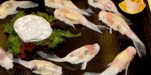 Koi fish shaped sushi