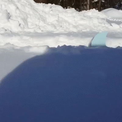 Appalachian Snow Shark