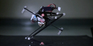 Wall-jumping robot "SALTO"