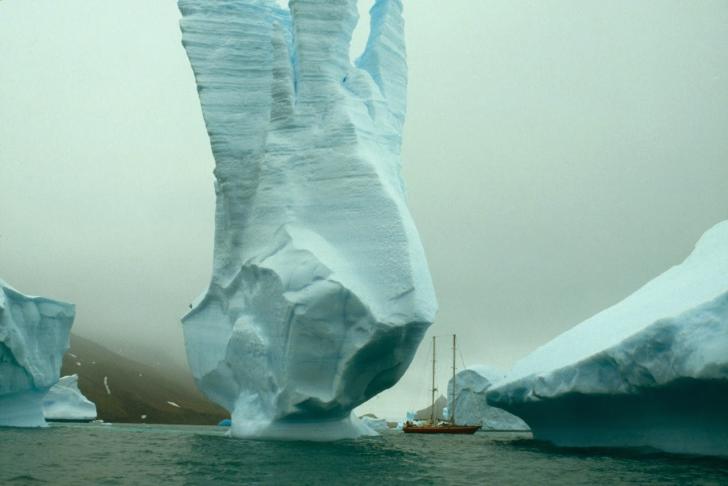 An iceberg in Wilson Harbor, Falkland Islands