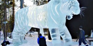 Awesome Tiger Ice Sculpture.
