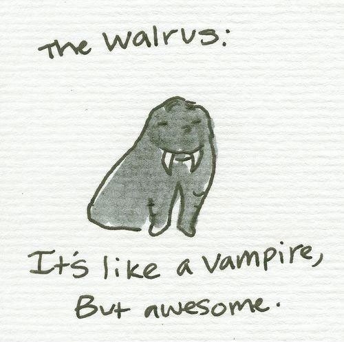 The Walrus.