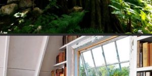 Tree house hotel rooms.