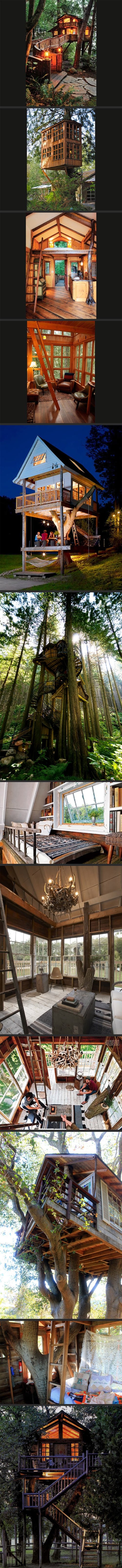 Tree house hotel rooms.