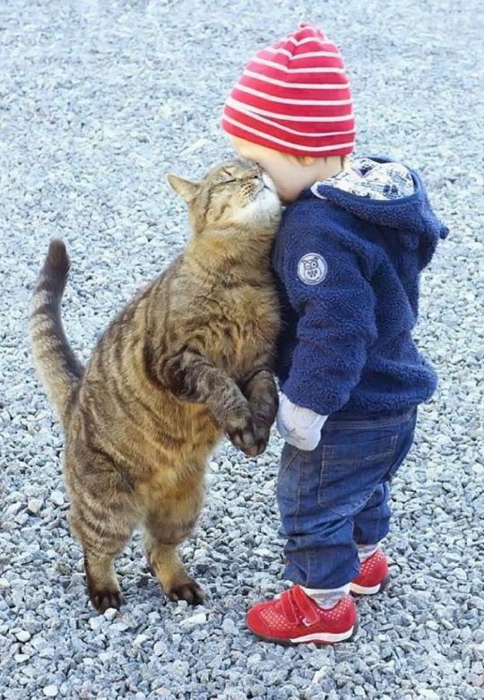 A kid and a cat...