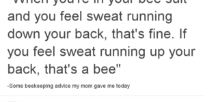 Always listen to the advice of a beekeeper.