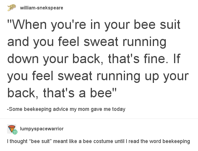 Always listen to the advice of a beekeeper.