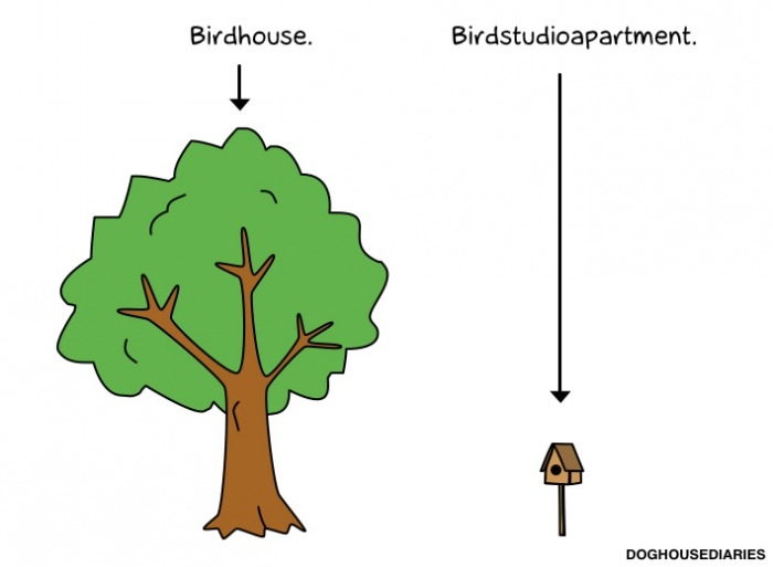 Bird... House