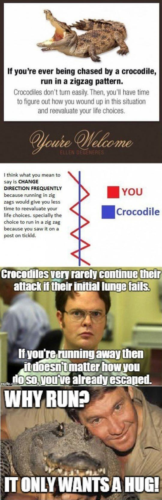 If you're ever chased by a crocodile...
