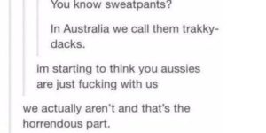 Australia is a weird place