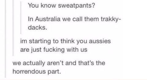 Australia is a weird place