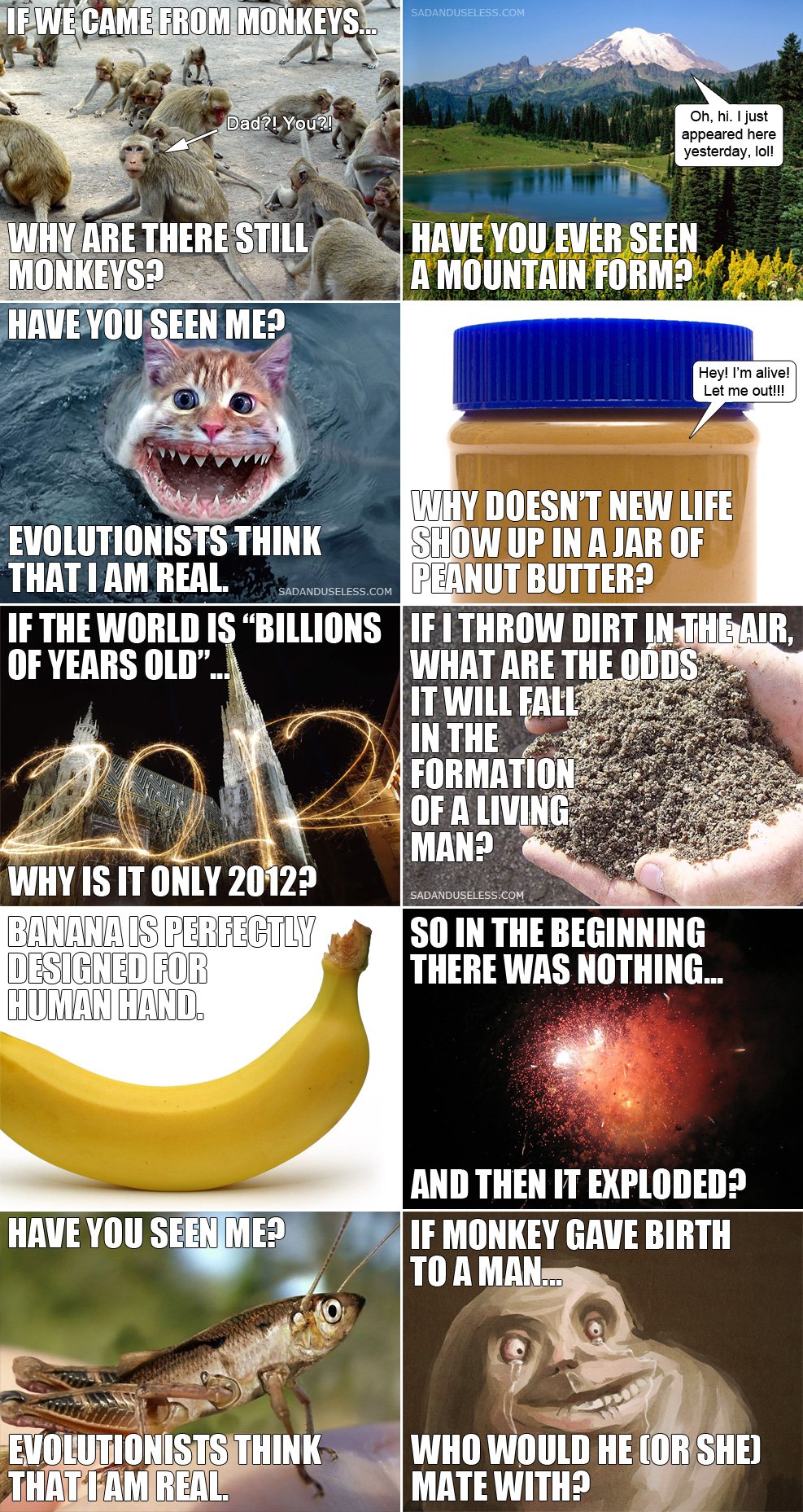 Evolutionists are crazy.