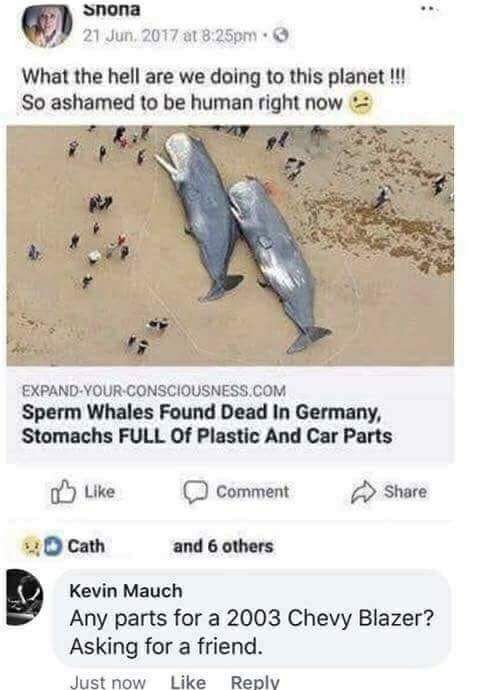 Humanity has a whale of a sense of humor...