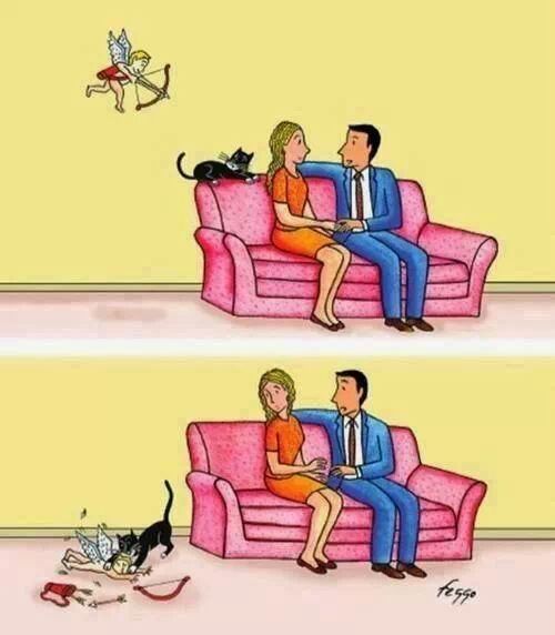 So this is why people with cats never find true love.