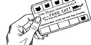 Yay! Free cat punch card!