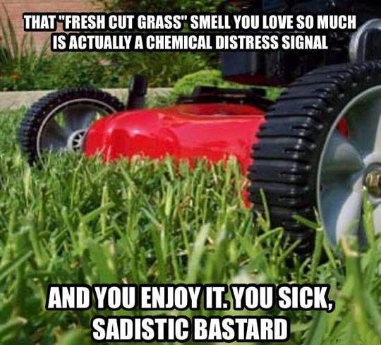 That fresh cut grass smell...