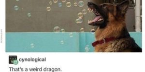 How To Train Your Dragon (to blow bubbles)