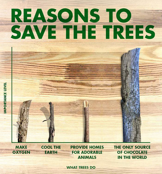 Reasons to save trees 
