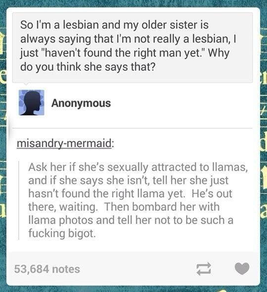 I'm not really a lesbian...
