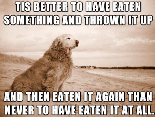 True Dog Philosophy