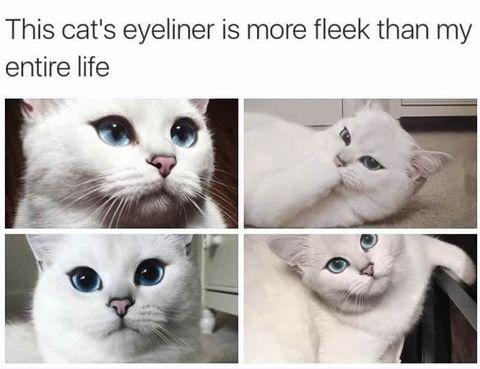 Cat's eyeliner on point