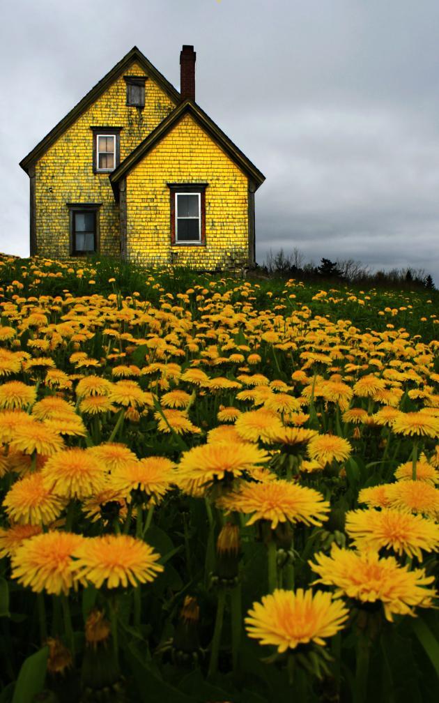 Abandoned House in Nova Scotia.