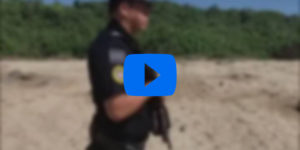 Meanwhile in Mexico…border patrol oversees turtles laying eggs on beach