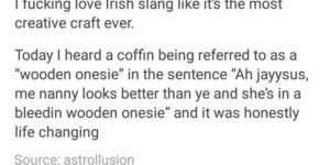 ðŸ‡®ðŸ‡ª slang gang.