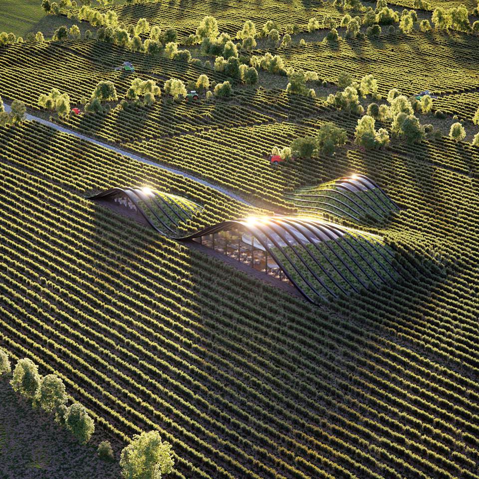 The Vineyard in Kakheti, Georgia.