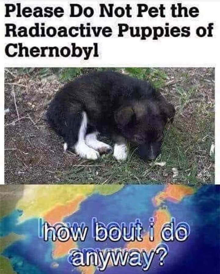 I will never, not pet.