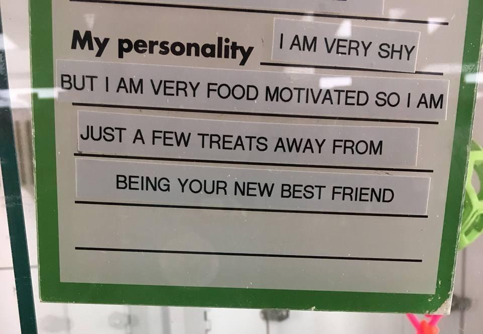 My personality also.