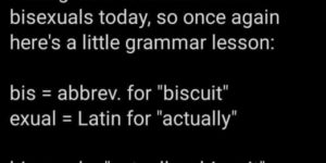 Literally a biscuit